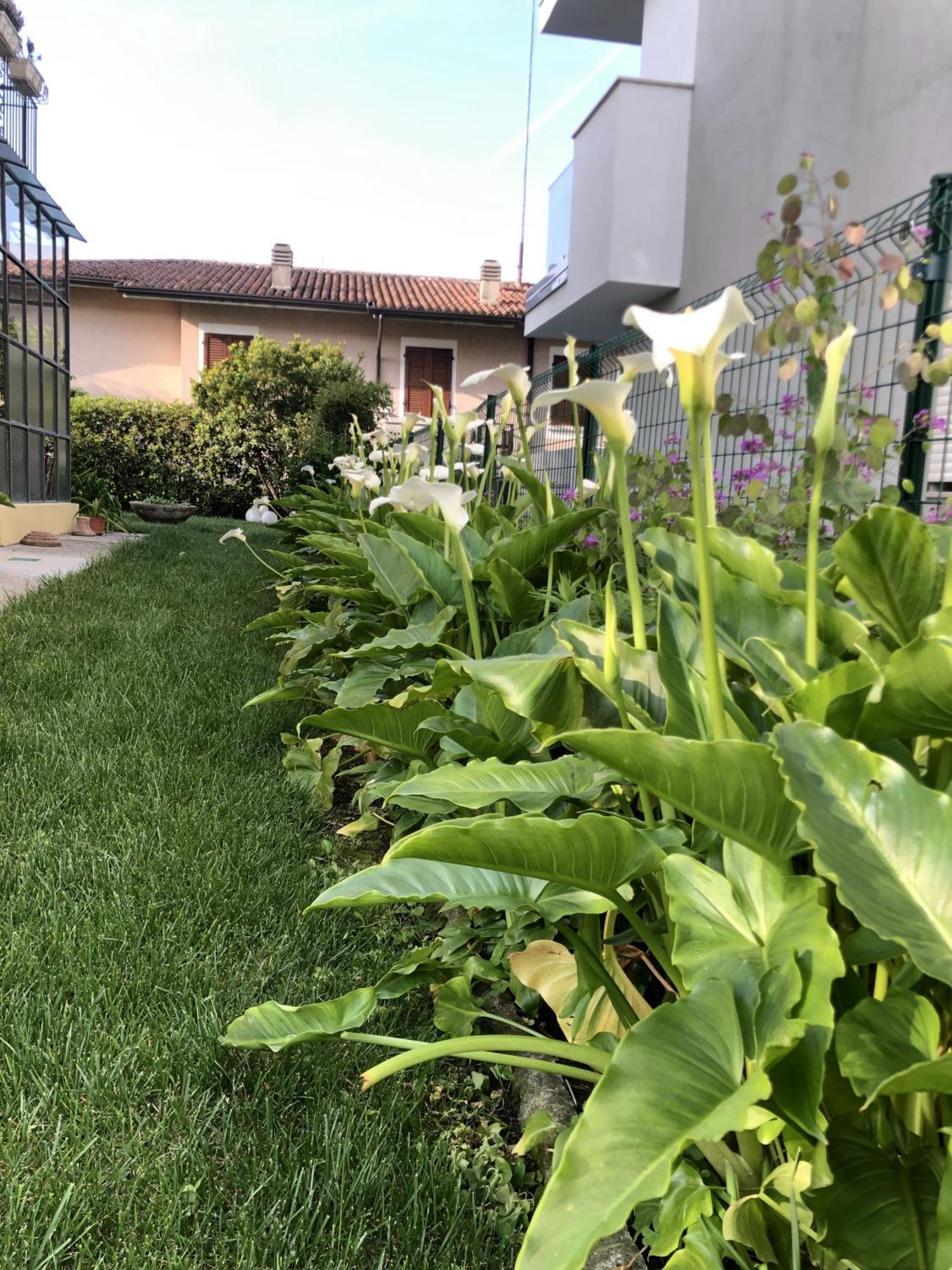 Casa Sivori Sul Lago Di Garda Con Ampio Giardino Дезенцано-дель-Гарда Экстерьер фото